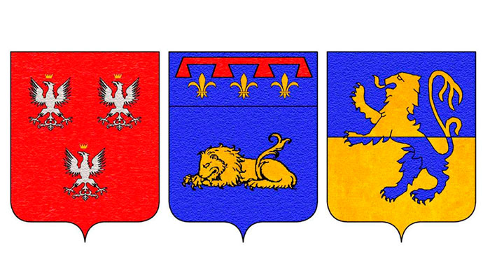 Algunos escudos de familia - Cognomix